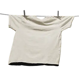 Before image 4